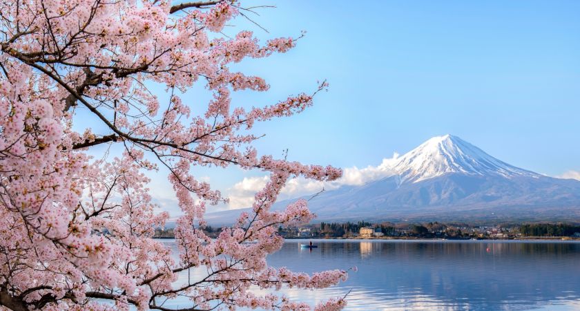 Antalya Çıkışlı Sakura Zamanında Büyük Japonya & Kore Tüm Turlar Dahil