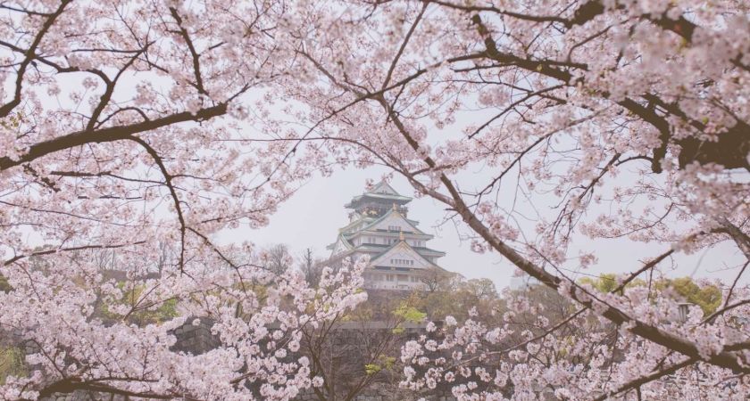 İzmir Çıkışlı Sakura Zamanında Japonya & Kore Turu Tüm Turlar Dahil