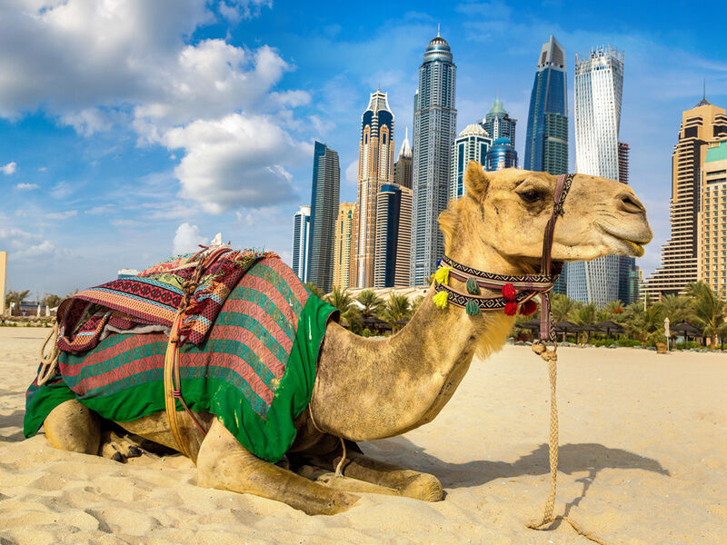 Görkemli Dubai & Lüksün Başkenti 3 Gece - Pegasus Hava Yolları  ile (2025 Sonbahar - Kış Dönemi) - Cumartesi Hareket AT016