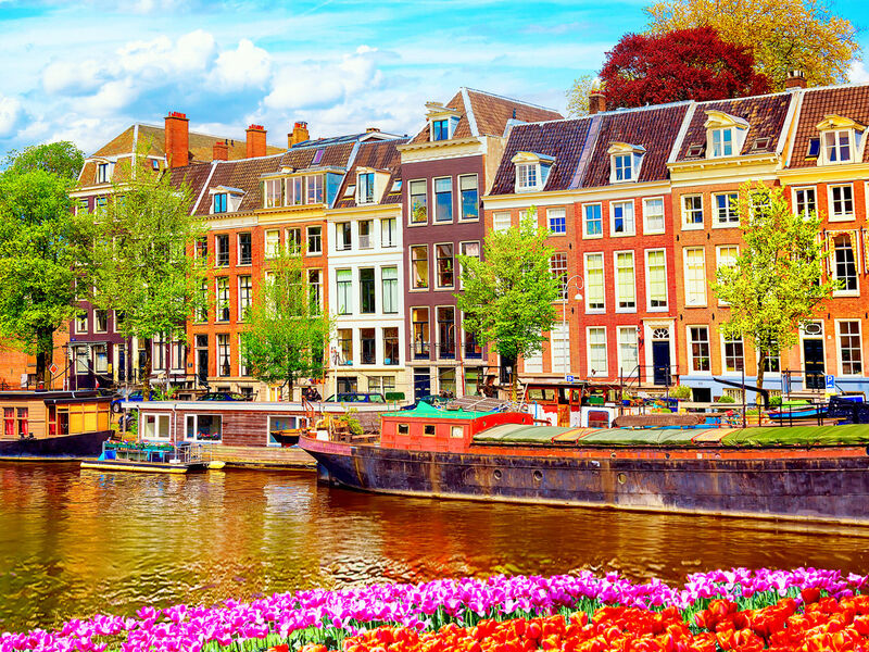 Comfort Benelux & Paris & Alsace & İsviçre Turu - Türk Hava Yolları ile 7 Gece Ekstra Turlar Dahil BSL-AMS